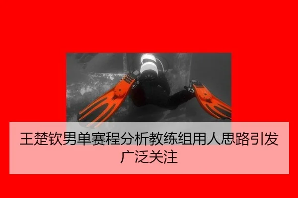 王楚钦男单赛程分析教练组用人思路引发广泛关注